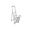 Ladder model