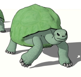 tortoise - cel shading